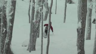 Bromley Mountain Vermont  THE PLUNGE [upl. by Elicec]