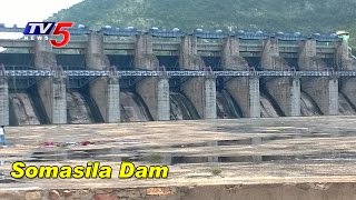 Somasila Dam Reaches Dead Storage Level  TV5 Ground Report  Nellore  TV5 News [upl. by Bringhurst143]