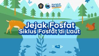 Jejak Fosfat Siklus Fosfat [upl. by Sotnas]