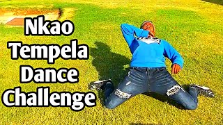 Nkao Tempela Dance Challenge [upl. by Salakcin]