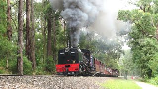 Puffing Billy Railway 19 28th January 2024 [upl. by Hashim144]