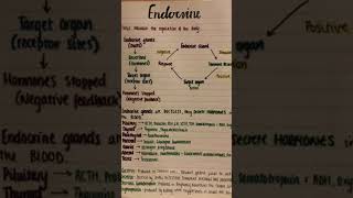 Endocrine systems PHYSIOLOGY and anatomy medical 20 [upl. by Church]