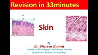 5 skin revision 2021 [upl. by Slade]