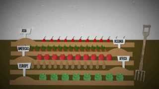 What is food insecurity An explanation [upl. by Mullins912]