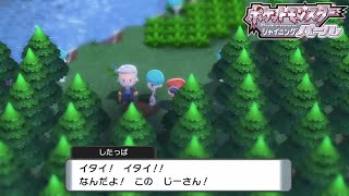 【湖の戦い】博士が結局一番強いのでは【ポケットモンスター シャイニングパール】＃14 [upl. by Adnowat649]