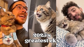 ekekekkekkek compilation  2023s BEST Cat Chirping Chattering Clicking and Chittering [upl. by Barbara]