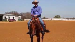 Reining Training  Misconception of a Low Head in Reining [upl. by Goraud]