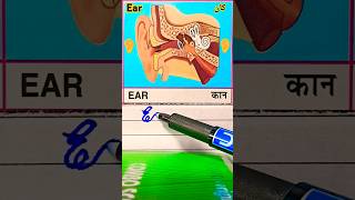 Human body parts  health  Healthful ear  biology nature science gk health nose new [upl. by Ellednek]