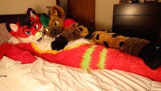 How To Get Fursuit Cuddles w Majira Strawberry [upl. by Aner]