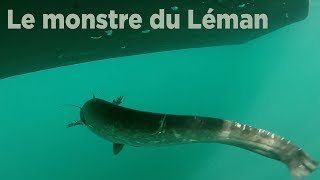 Le monstre du Léman [upl. by Adlaremse]