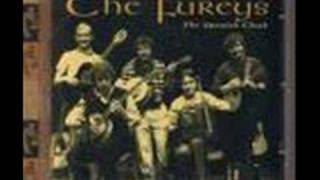 The Fureys When You Were Sweet Sixteen [upl. by Katya]