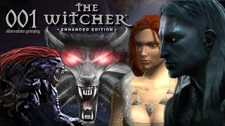 The Witcher 001  Das Abenteuer beginnt  aldersachma oldieegge gameplay [upl. by Bertold45]