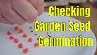 Checking Garden Seed Germination with Dr Evans [upl. by Jereme]