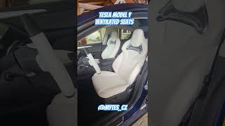 Tesla Model Y ventilated seats [upl. by Ella871]