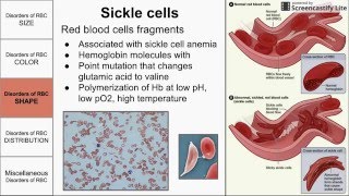 What is Hemolysis anemiaproblems [upl. by Enoitna]