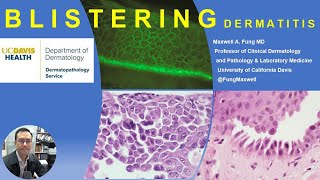 DERMATOPATHOLOGY Blistering Diseases [upl. by Eidoc]