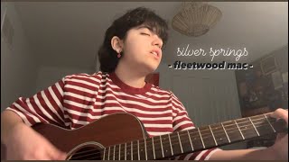 silver springs  fleetwood mac cover [upl. by Nareht430]