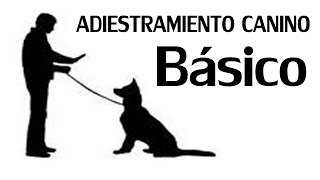 Adiestramiento Canino Basico [upl. by Swithbart]