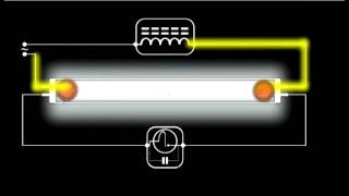 How a Fluorescent Light Works  Schematic Animation [upl. by Elene]