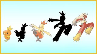 What if Pokemon had more Evolution Stages Torchic  Combusken  Blaziken [upl. by Ytirahc434]