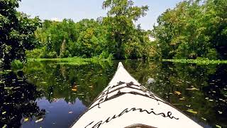 Clarks Fish Camp to St Aug rd 😎Julington Creek Kayaking [upl. by Milman100]