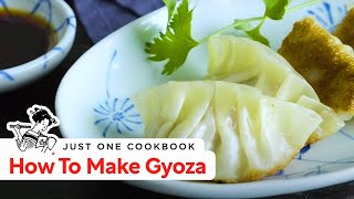 How To Make Gyoza Japanese Potstickers Recipe 餃子の作り方 レシピ [upl. by Ivel616]