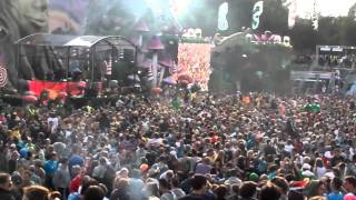 Tomorrowland 2011 Avicii  Levels HD [upl. by Champaigne]