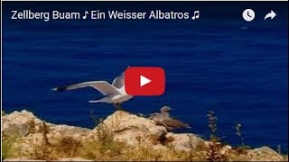 Zellberg Buam ♪ Ein Weisser Albatros ♫ [upl. by Tarrant350]