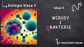 Biologia klasa 5 Lekcja 11  Wirusy i bakterie [upl. by Grannias]