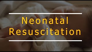 Neonatal resuscitation NRP and practice scenario [upl. by Nitsug]