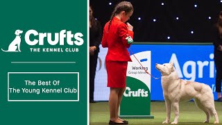 The Best Of The Young Kennel Club  Crufts [upl. by Bricker]