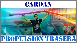 Como cambiar los SOPORTES del CARDAN ¡ Roto  ¿ Vibración y ruido   Flector Propulsión Trasera 👈 [upl. by Martell]