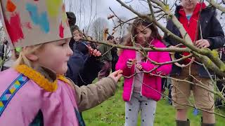 2022  January 29  Whitchurch Wassail [upl. by Yadsnil]