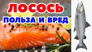 Лосось польза и вред  засолим семгу  филе форели на сковородке [upl. by Burrow784]