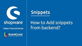 Shopware tutorials  How to Add snippets from backend [upl. by Divadleahcim]