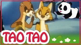 Tao Tao  episodi 35  Kahdentoista kuukauden [upl. by Anyrtak]