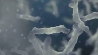 A trip to bellybutton medicine viral healthylifestyle navelbacteria bacteria youtubevideo [upl. by Emya]