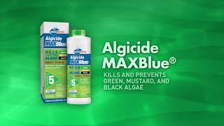 STEP 5 – ALGICIDE Pool Time® [upl. by Nahej965]