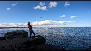 Back Amongst The FISH  Dunstanburgh Castle  Northumberland  Winter Lure Fishing [upl. by Dubenko]