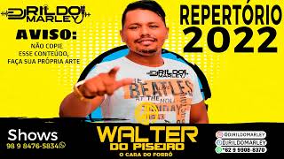 PROMO MARÇO 2022  WALTER DO PISEIRO CANAL DJ RILDO MARLEY [upl. by Kremer783]