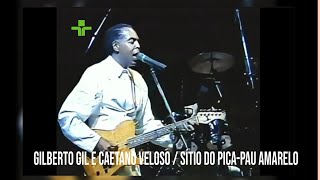 Gilberto Gil e Caetano Veloso  Sítio Do Picapau Amarelo Ao vivo no Tropicalia 2 FULL HD [upl. by Geaghan]