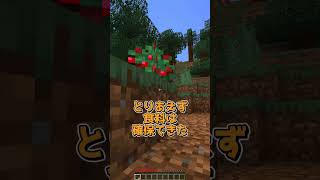 見たブロックが消える世界 マイクラ マインクラフト minecraft [upl. by Vedetta]