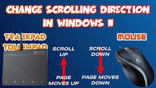 Change your mouse or touchpad scrolling direction in Windows 11 Traditional or Natural Scrolling [upl. by Erelia207]