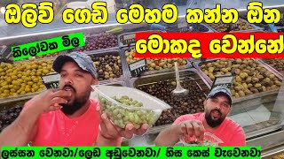 Olive oil ඔලිව් ගෙඩි කන්න පුළුවන් ද ලංකාවට අරගෙන යමුද [upl. by Jepum]