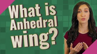 What is Anhedral wing [upl. by Javler191]