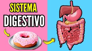 🍗 SISTEMA DIGESTIVO 🥨 sus partes funcionamiento y órganos en la digestión humana biología niños [upl. by Ayyn]