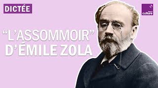 La Dictée géante  quotLAssommoirquot dÉmile Zola [upl. by Nedra79]