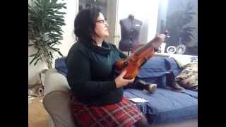 Violin Stentor Messina [upl. by Clayberg316]