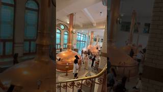 What is the best time to go to the Heineken Experience  Heineken Experience Amsterdam museum [upl. by Odragde]