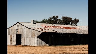 Merriman Shearing School [upl. by Templer]